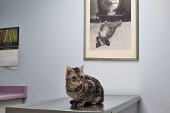 exam2_gallery