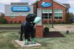 FB_IMG_1673478728479