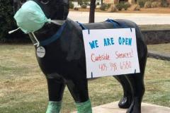 FB_IMG_1673478733657