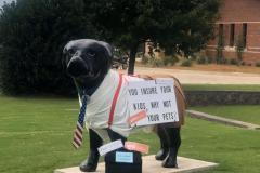 FB_IMG_1673478777922