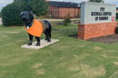 FB_IMG_1673478805799