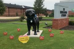 FB_IMG_1673478822867