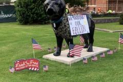 FB_IMG_1673478842575