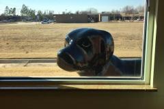 Looking-into-treatment