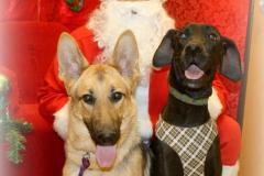 Schone-and-Snooks-Dang