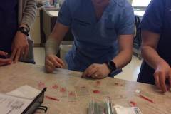 17626534_1701897126492535_5434995910175116891_n