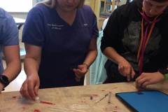 17634411_1701897129825868_4649293912830908733_n