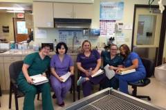 Team-Fire-Breathing-Kittens