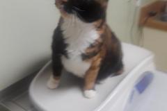 Callie-Zadroga-e1557775545705