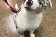 finnegan_bailey