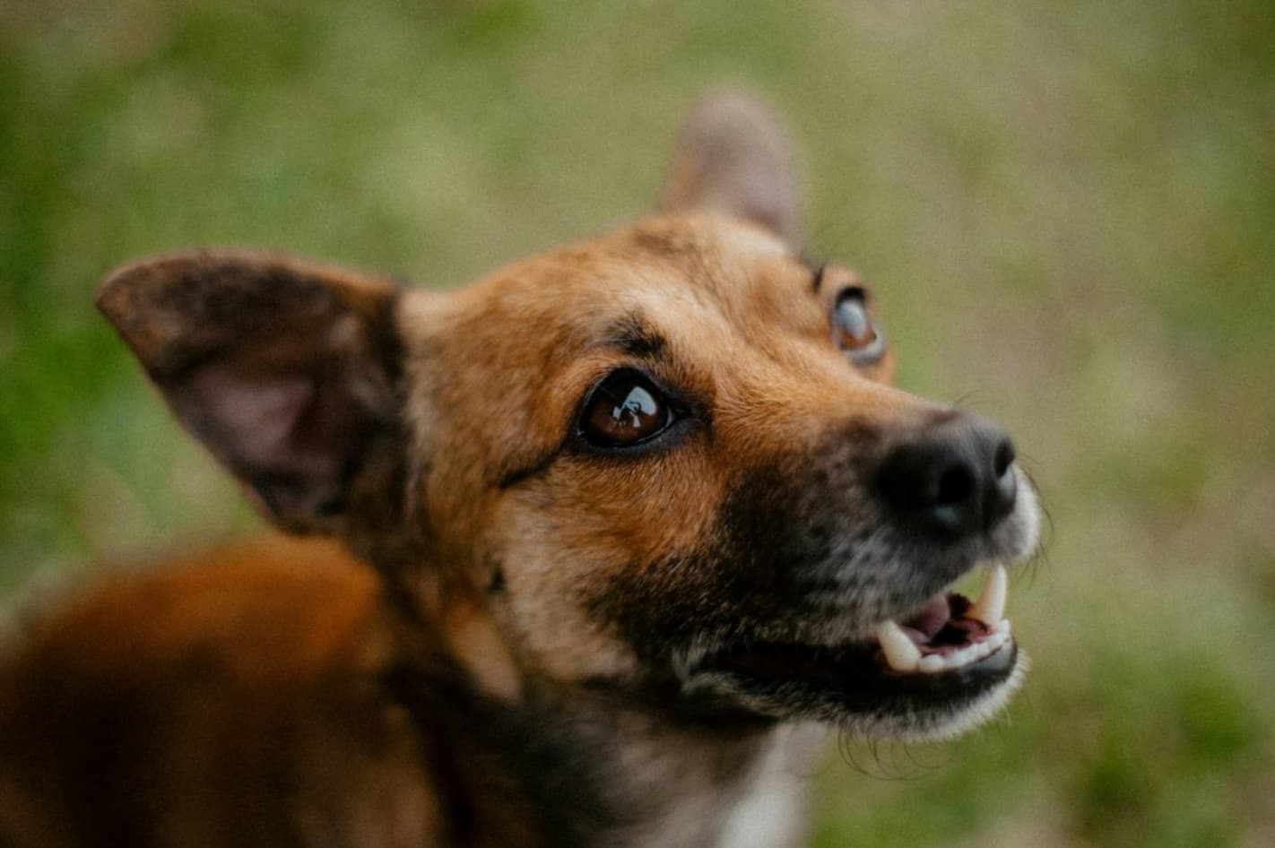 Emergency Preparedness: Why Preventative Care Saves You Stress and Money