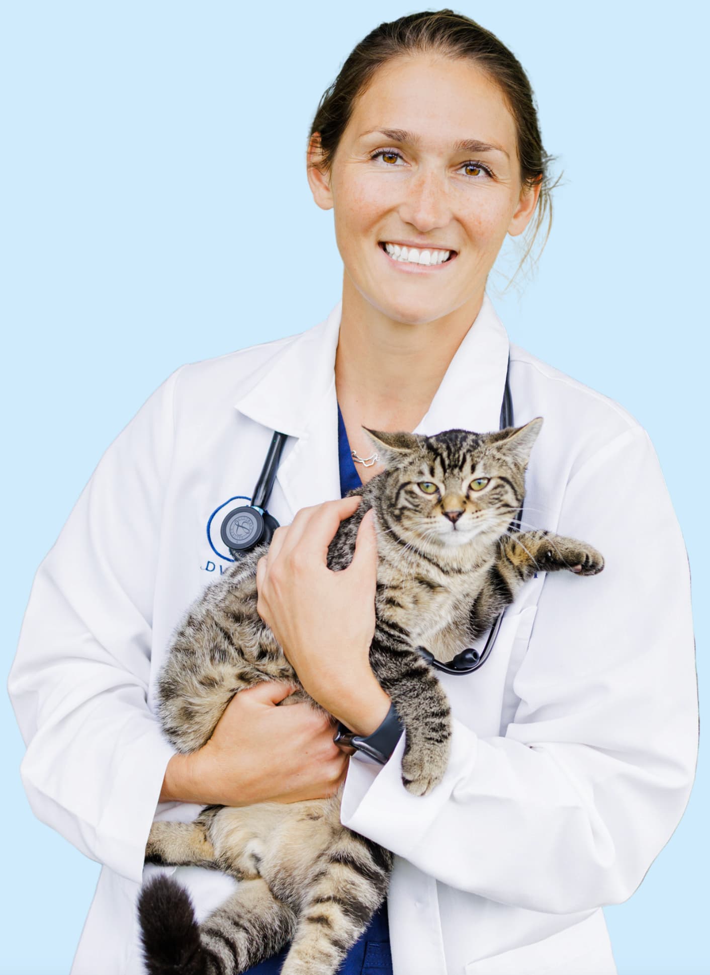 Relief veterinarian holding a cat