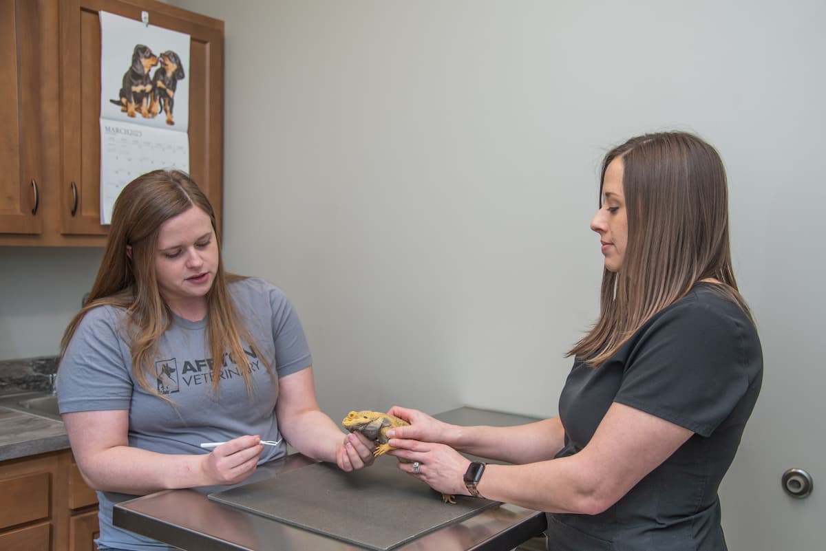 Affton Veterinary Clinic