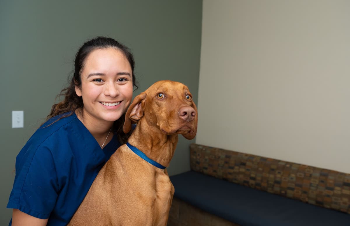 Alafia River Animal Hospital