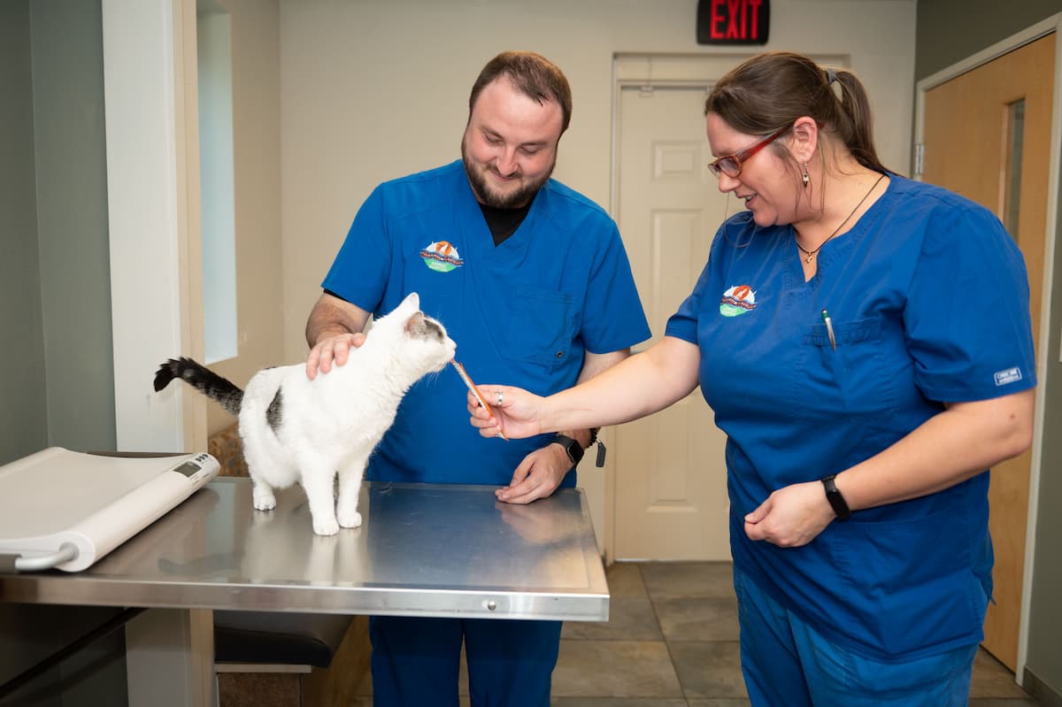 Alafia River Animal Hospital