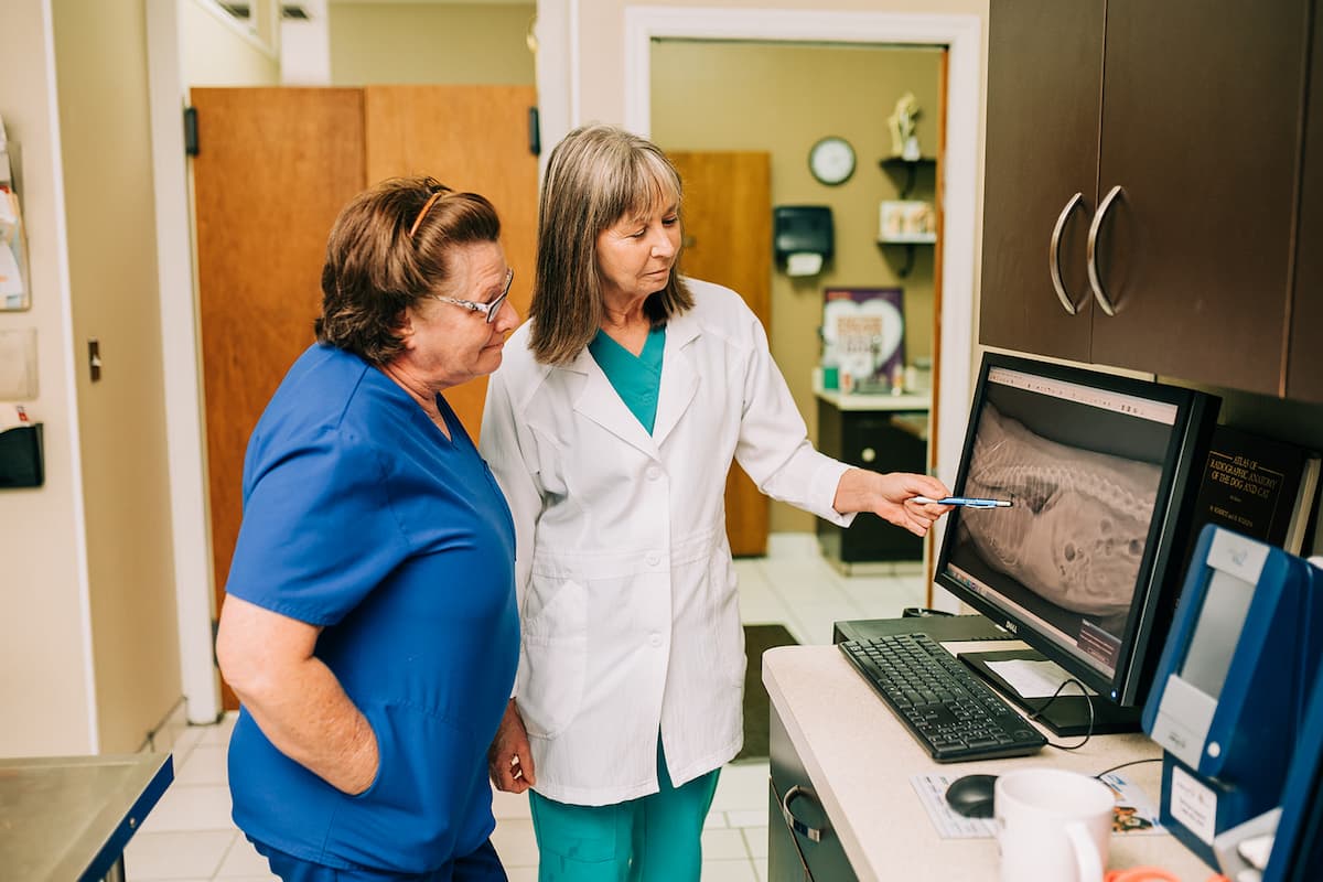 All County Animal Hospital