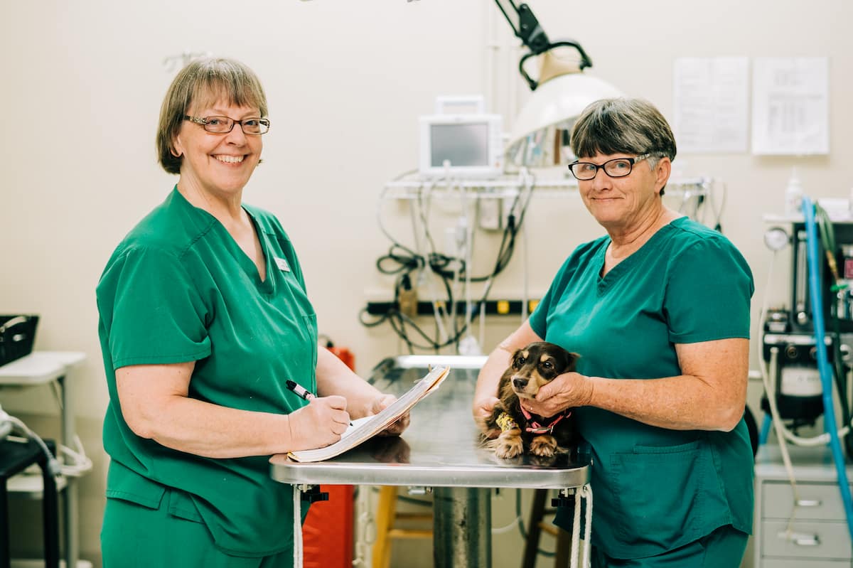 All County Animal Hospital