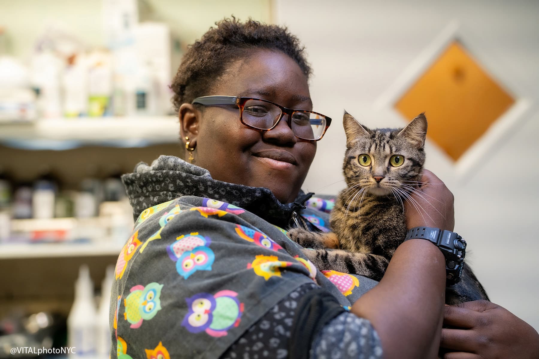 Animal Hospital of Brooklyn