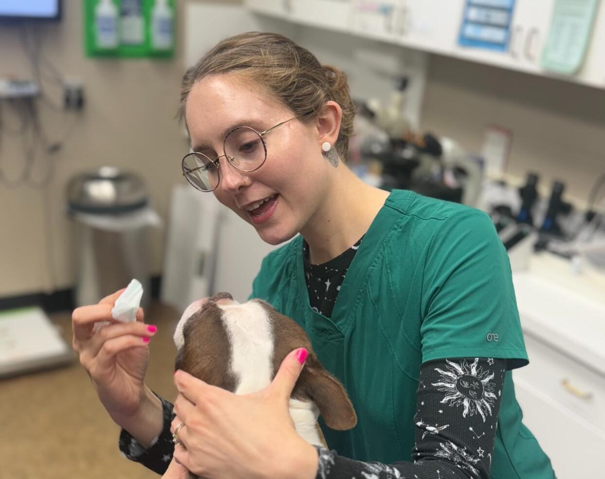 Animal Medical Center of Jonesboro