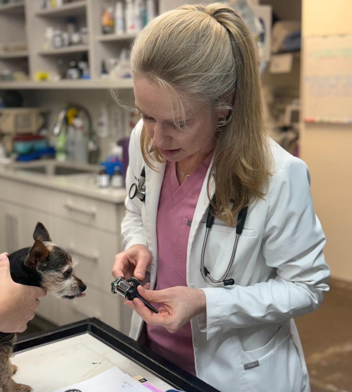 Animal Medical Center of Jonesboro