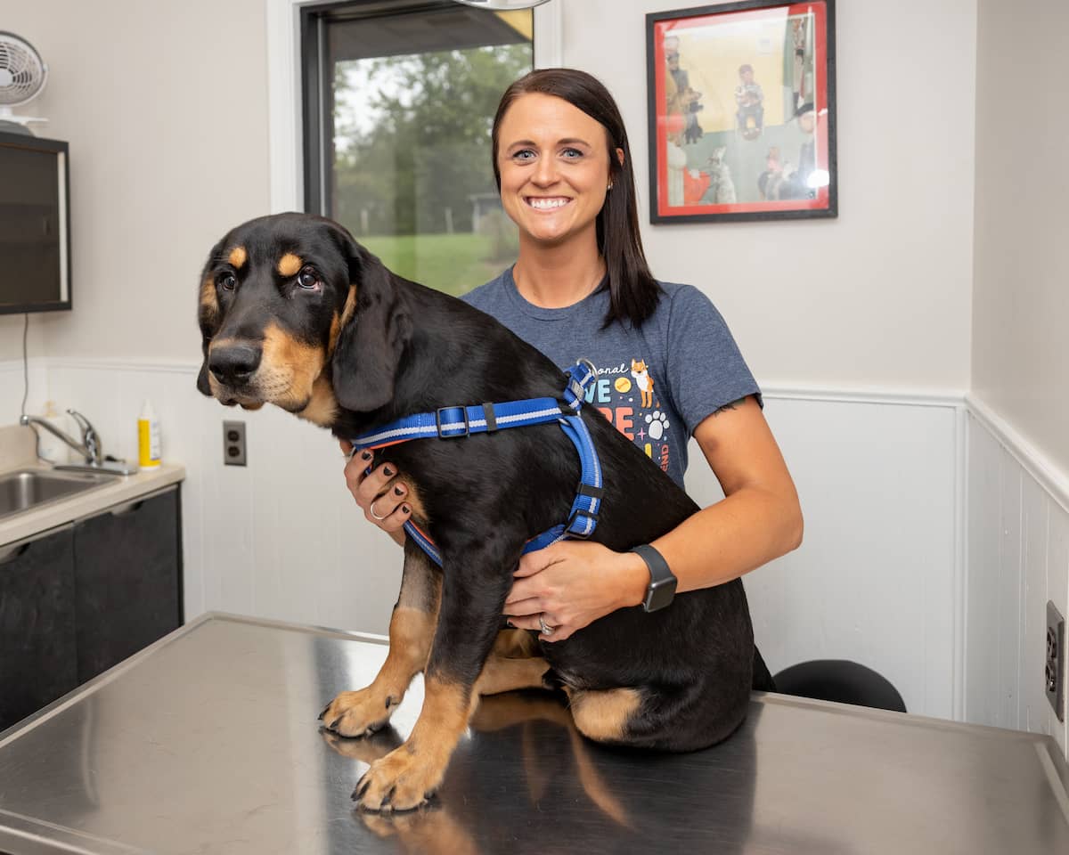 Bedford Veterinary Medical Centre