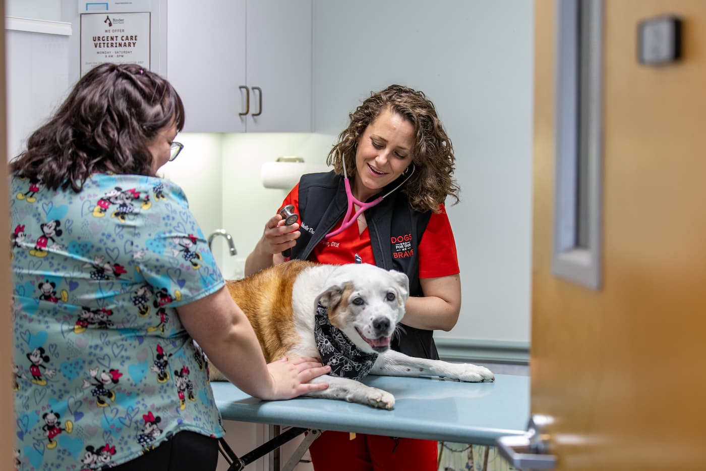 Binder Animal Hospital