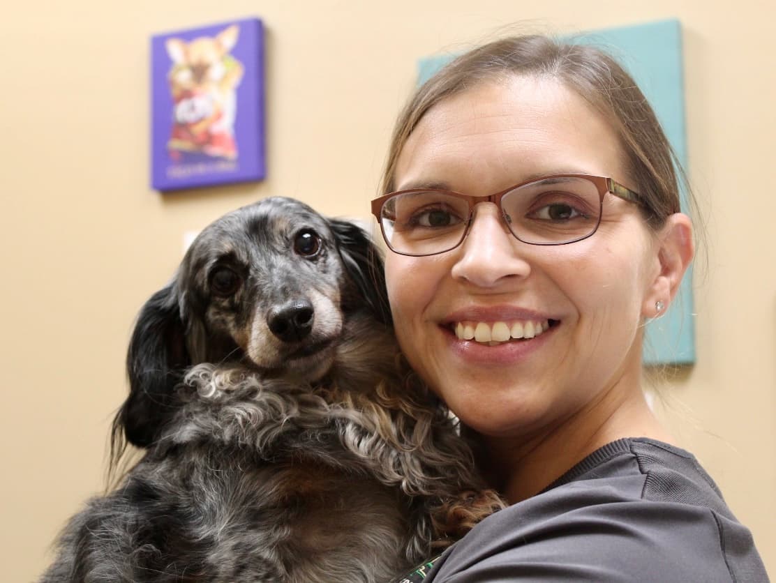 CareVet of Bayou Teche