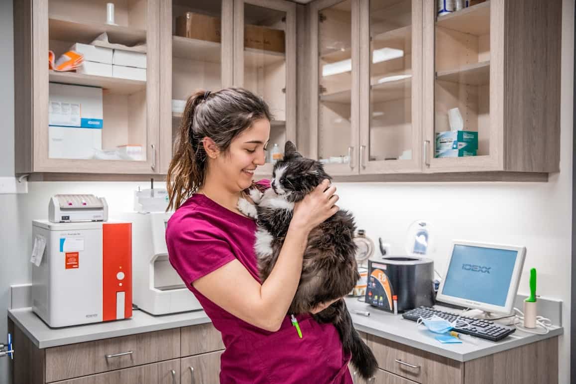 CareVet of Cochranton
