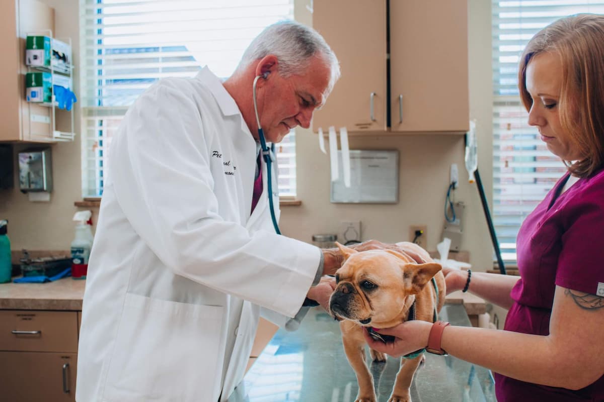 CareVet of Edmond