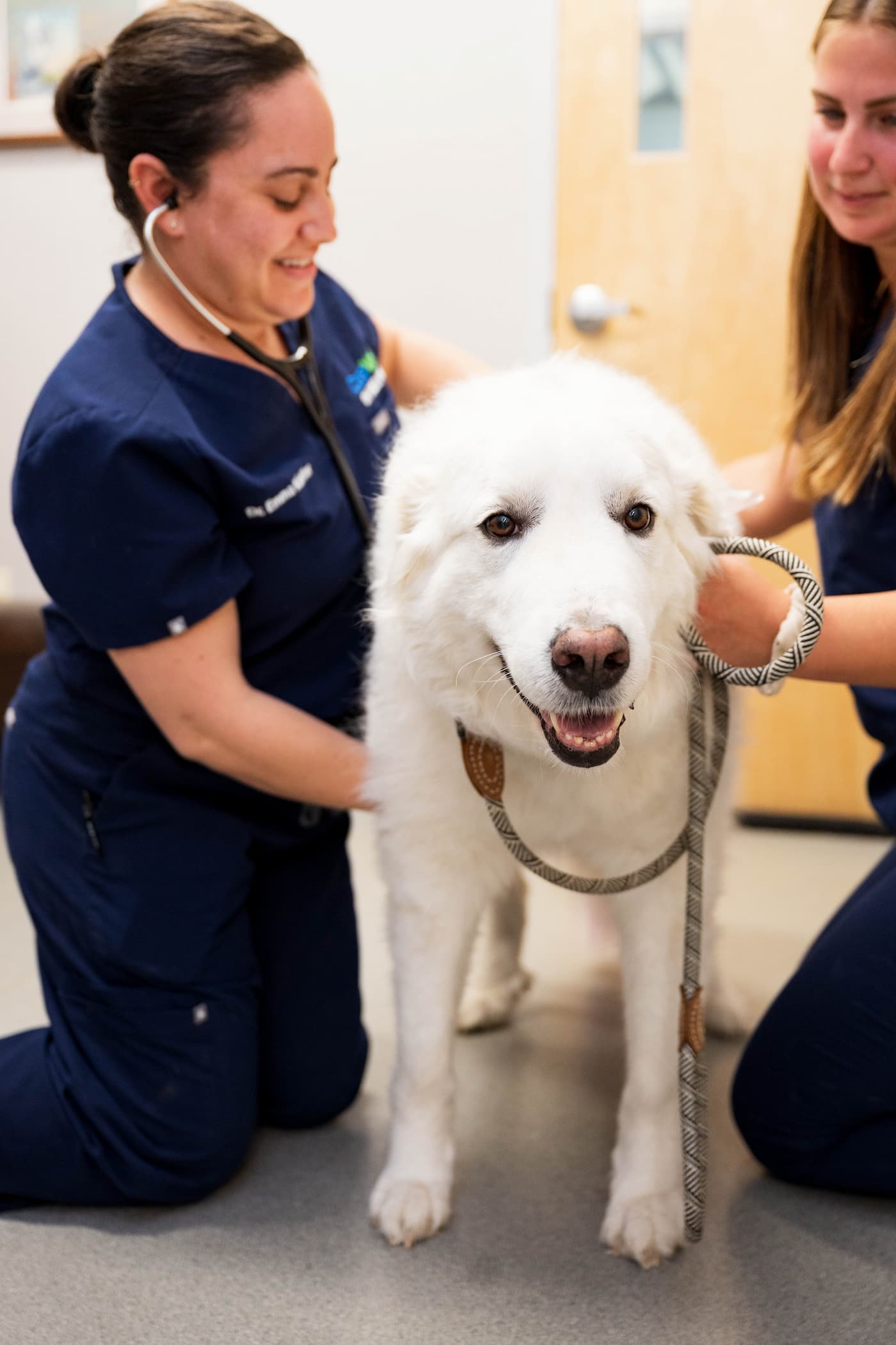 CareVet of Freeport