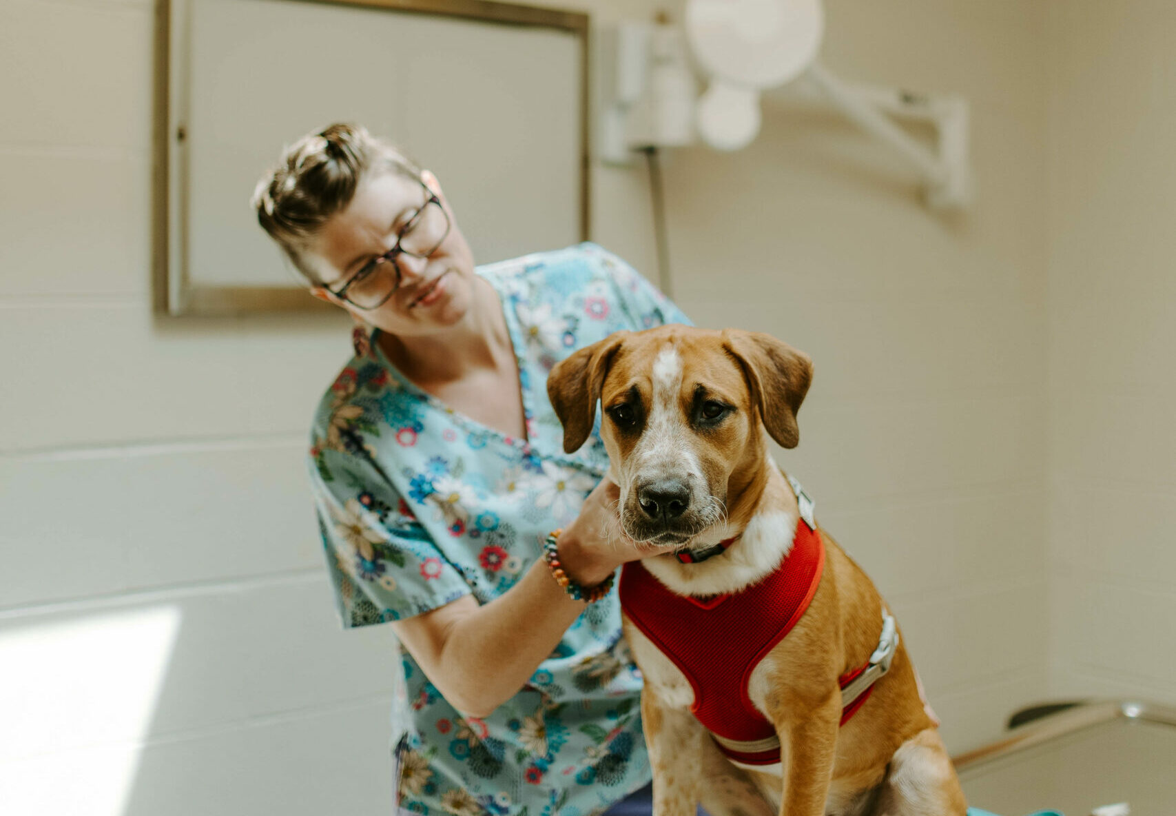 CareVet of Huber Heights