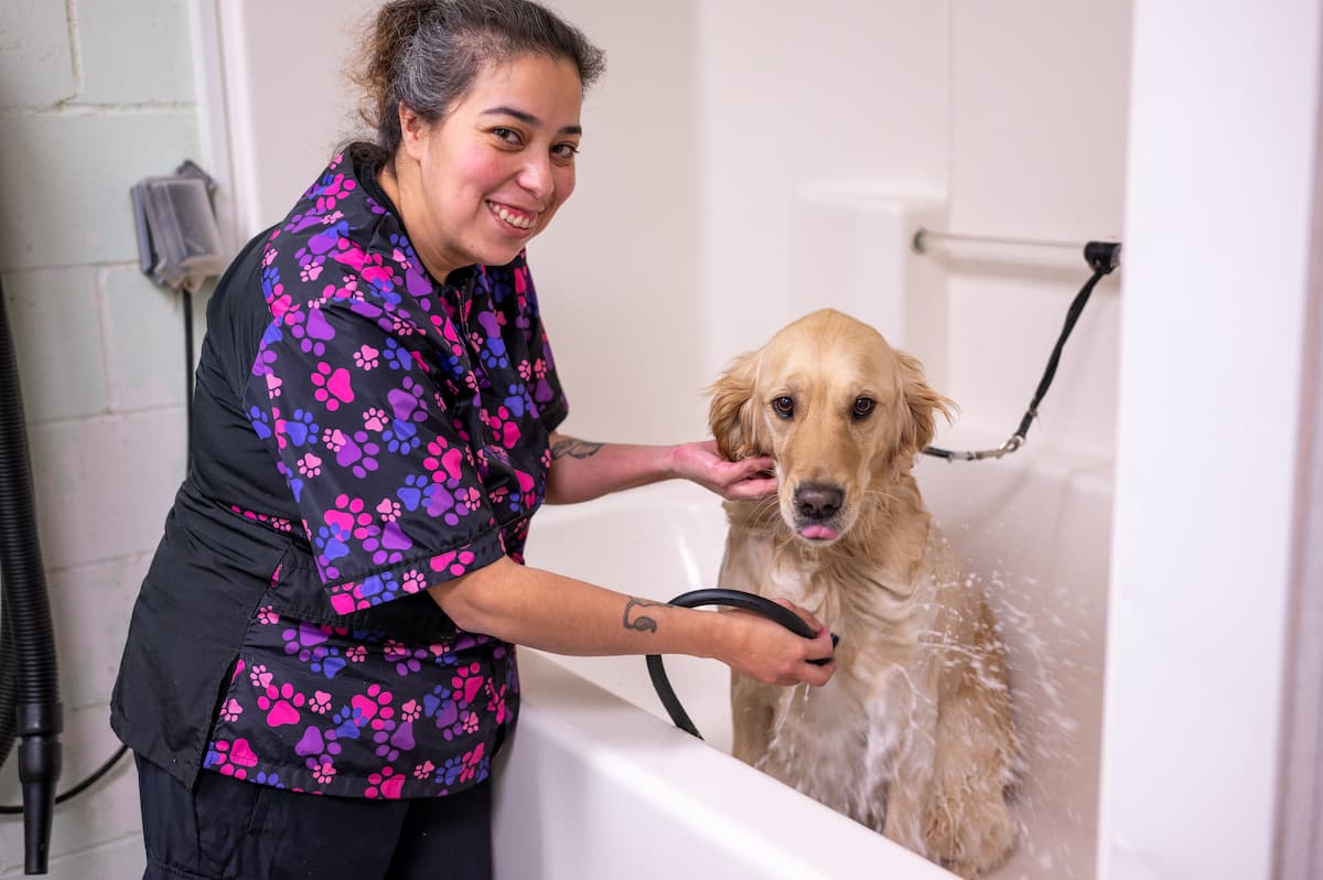 CareVet of Hutchinson
