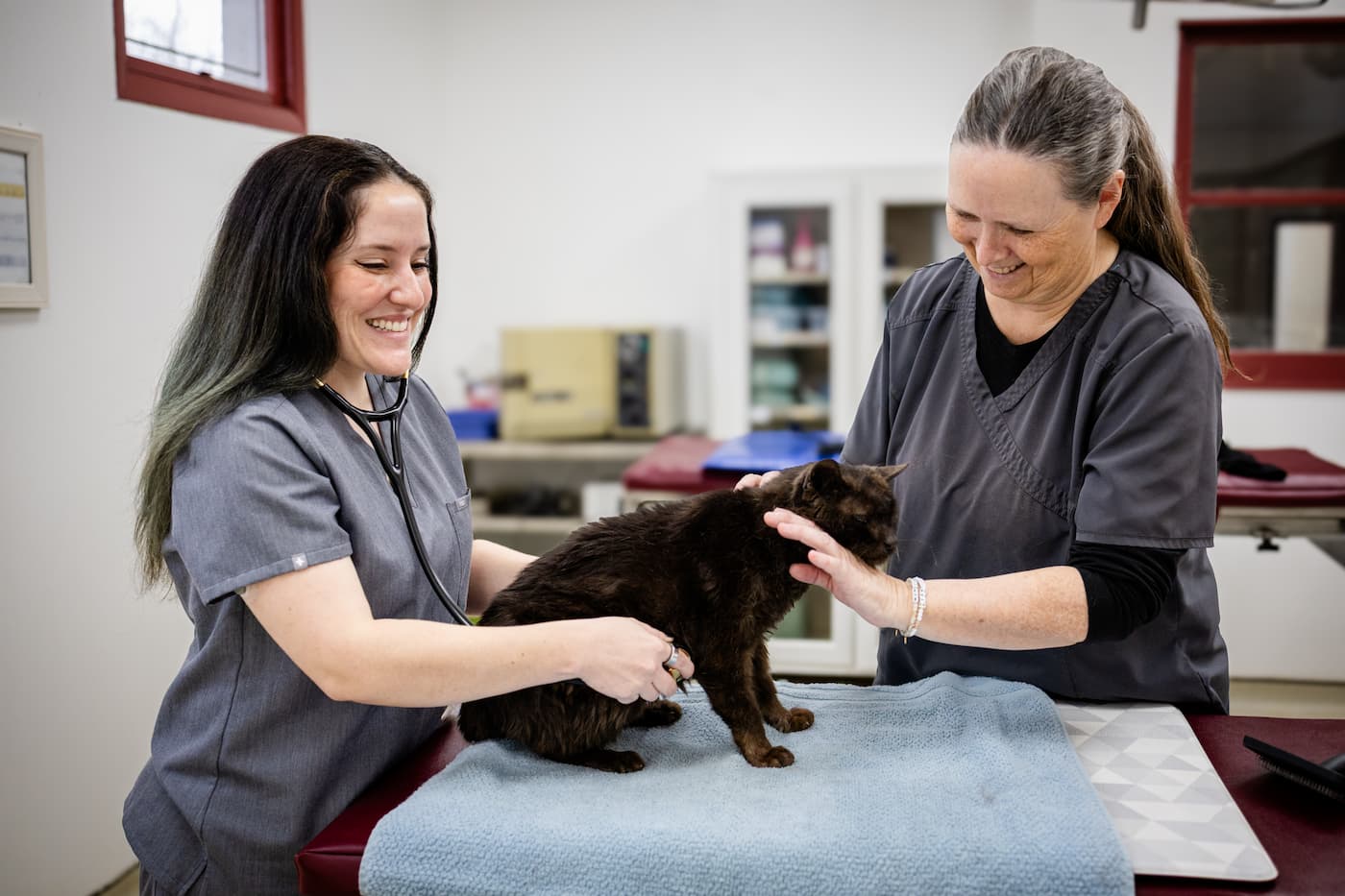 CareVet of Kingsville