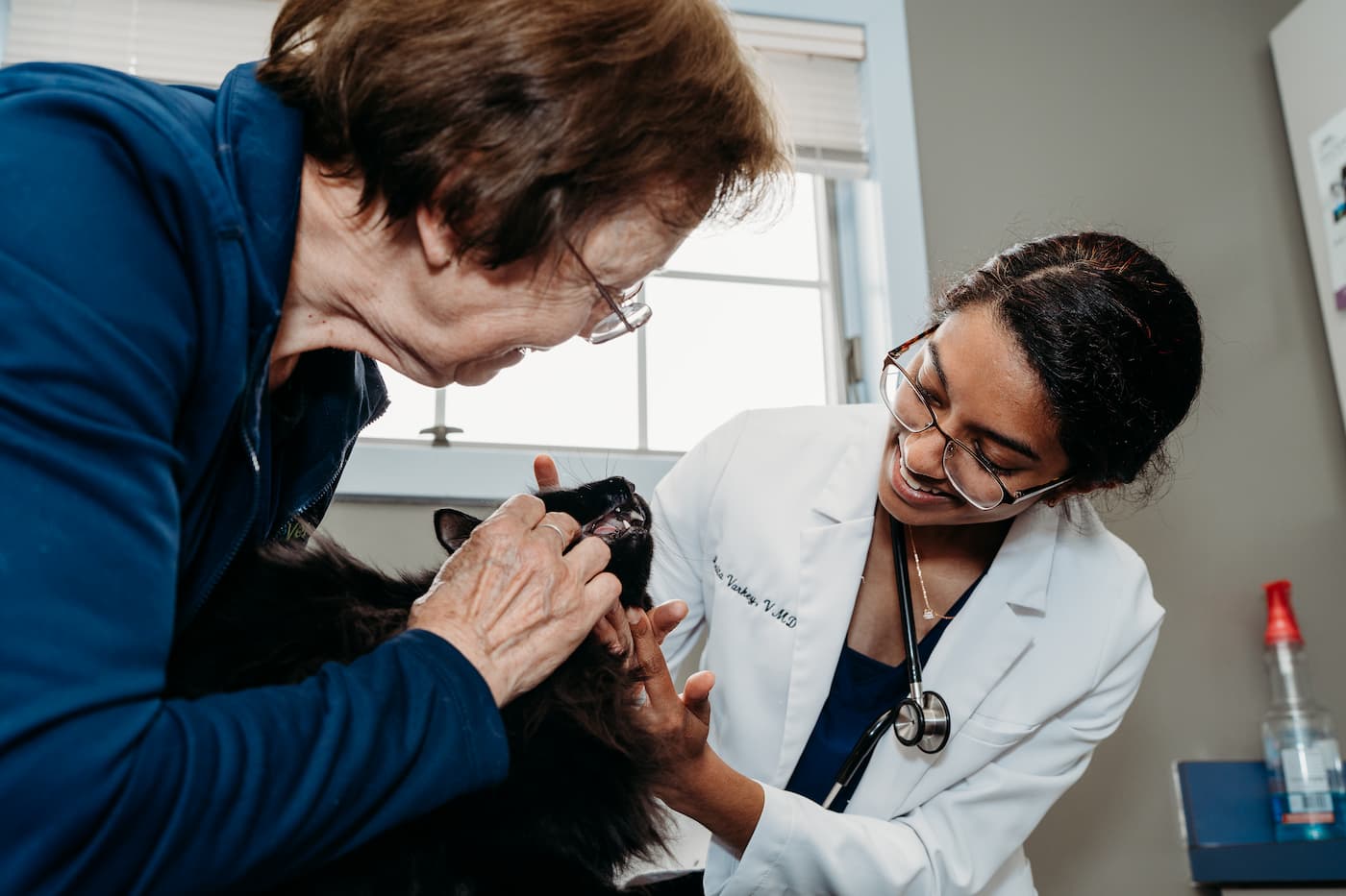 CareVet of Lincoln Way