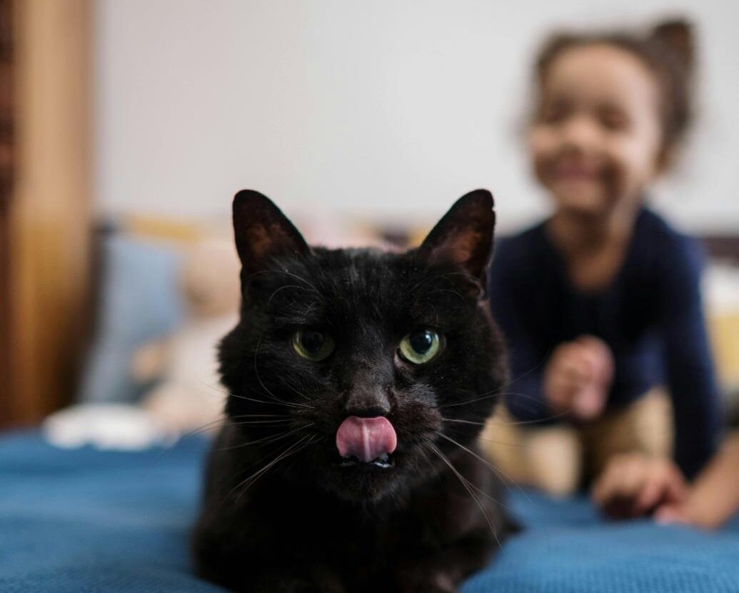 CareVet of Middletown