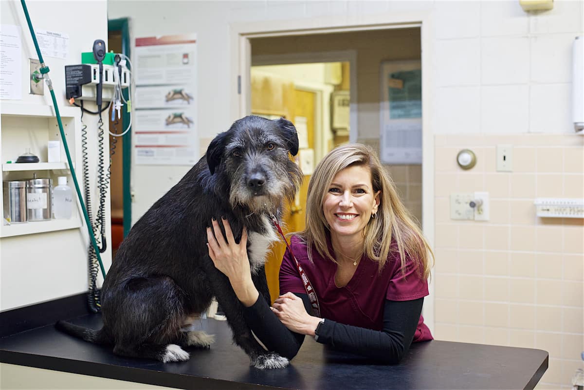 CareVet of Rockford