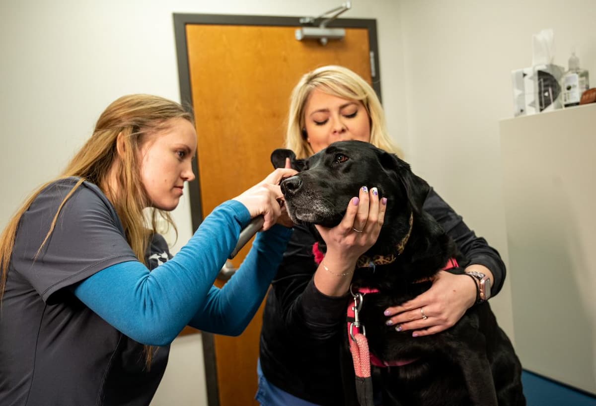 CareVet of West Fargo