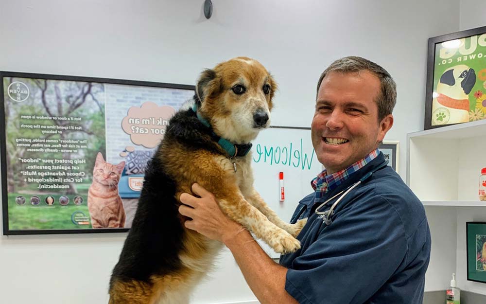 CareVet of Williamsburg