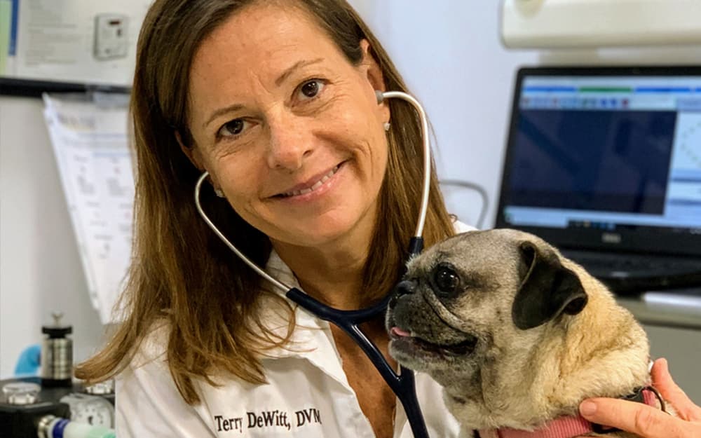 CareVet of Williamsburg