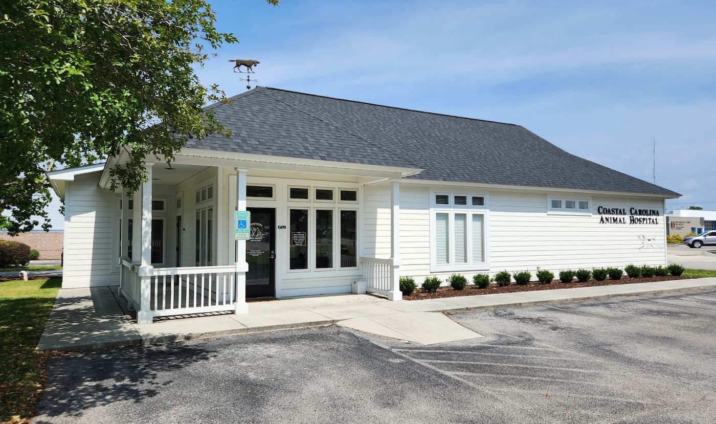 Coastal Carolina Animal Hospital