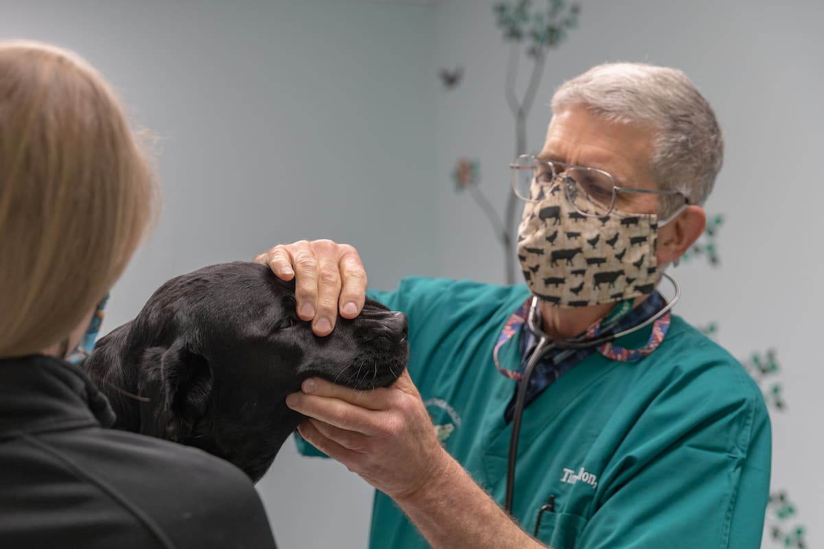 Cornerstone Veterinary Hospital