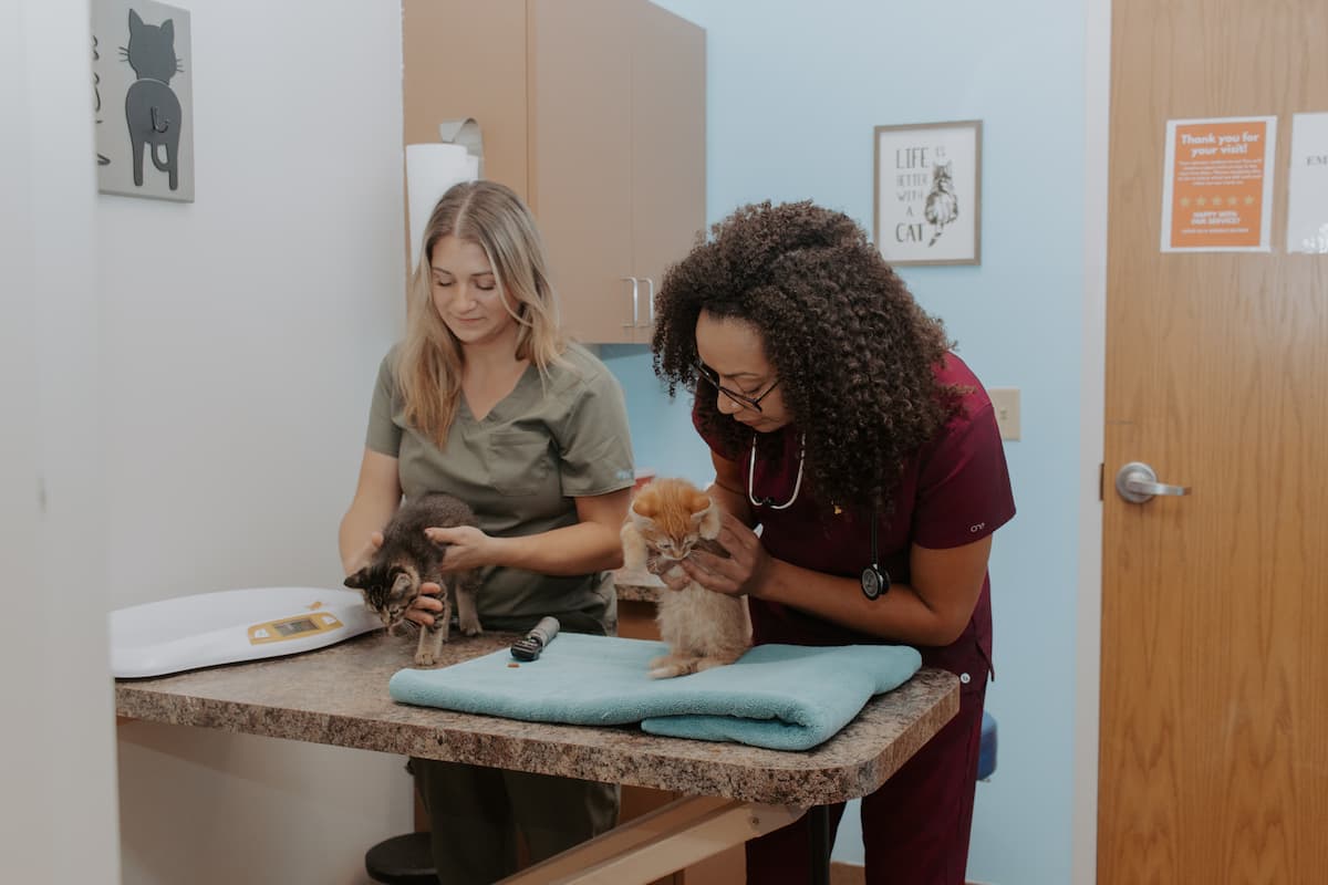 Cotner Pet Care