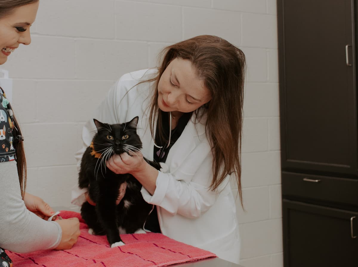 Cotner Pet Care
