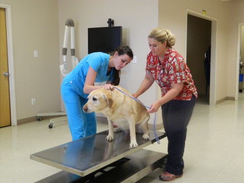 Crain Veterinary Center