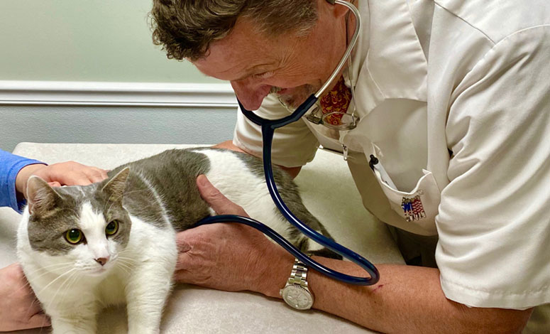 Cross Keys Animal Clinic