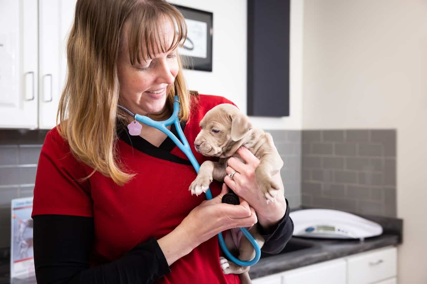 Cross Keys Animal Clinic