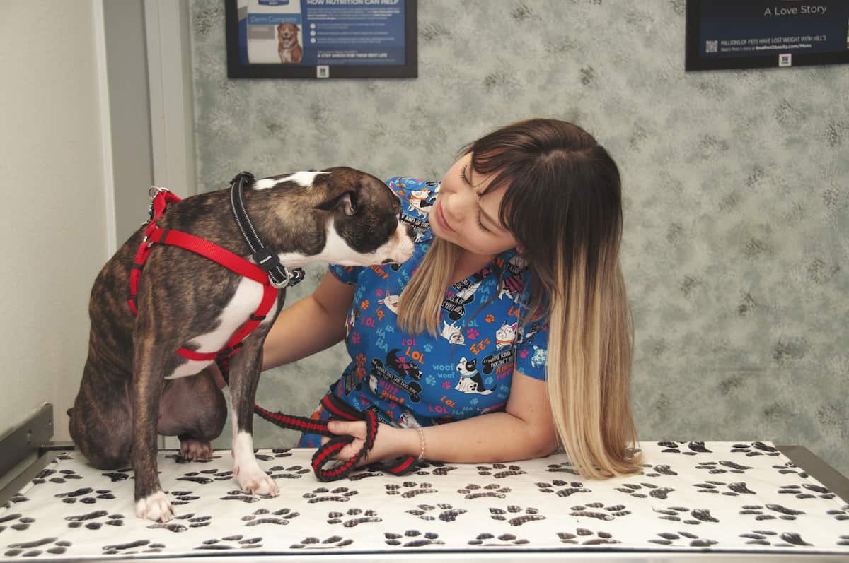 Edgewood Animal Clinic