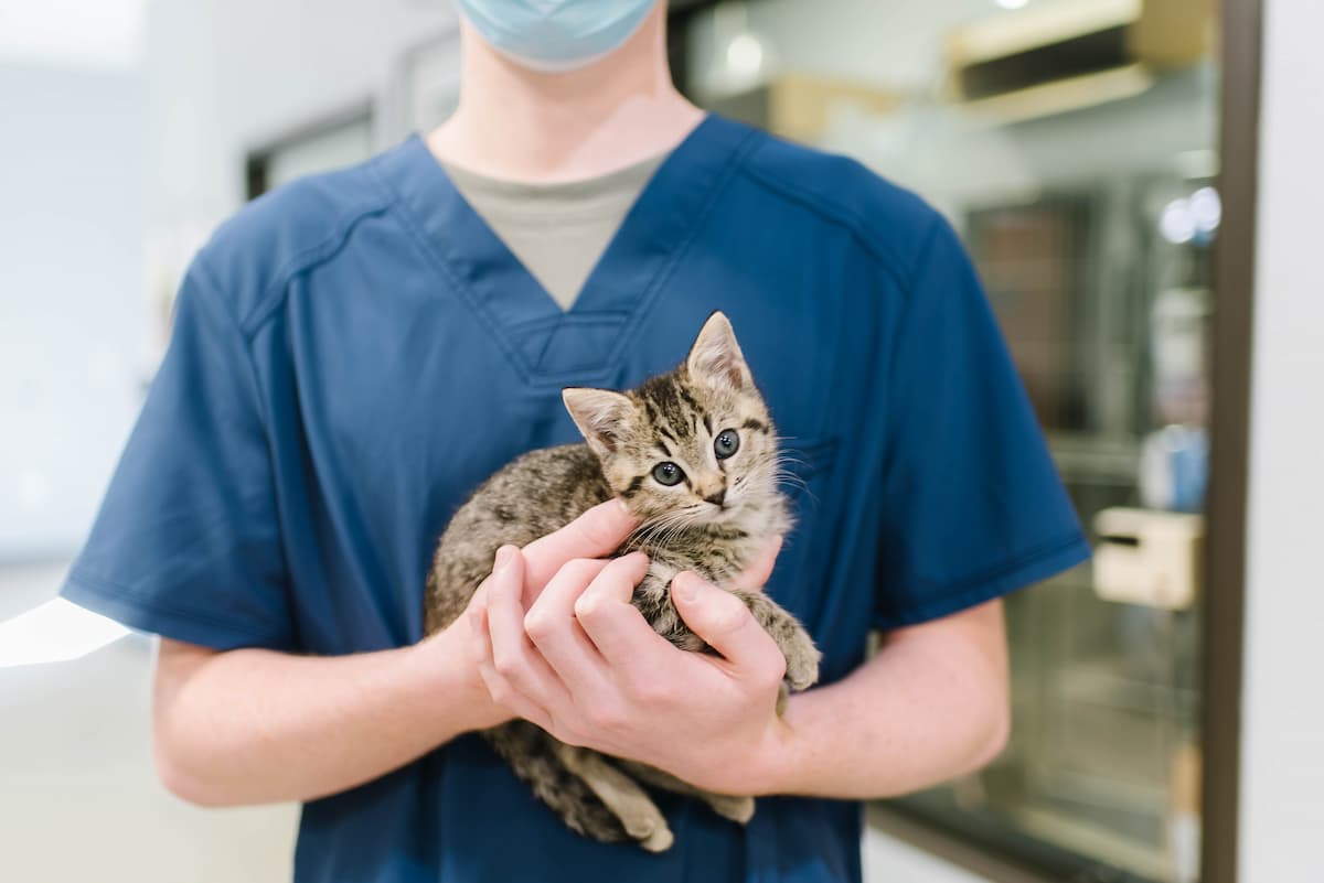 Family Pet Center