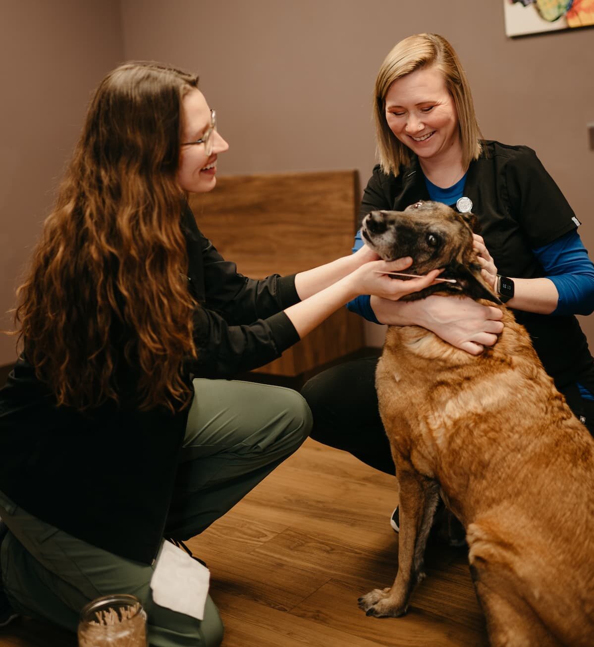 Family Pet Health Center