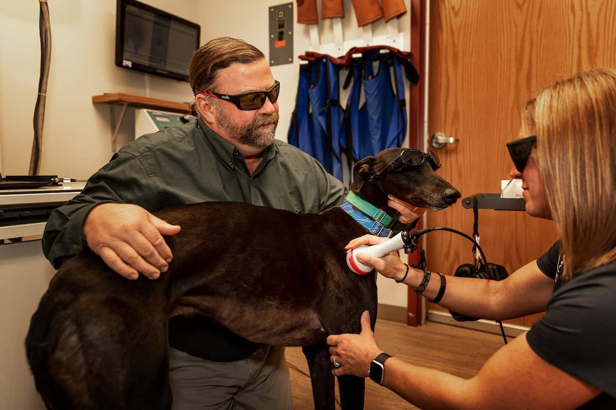 Frankenmuth-Birch Run Veterinary Hospital